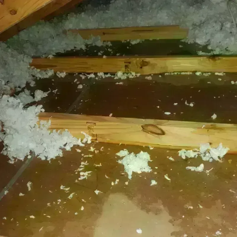 Attic Water Damage in Florida, PR