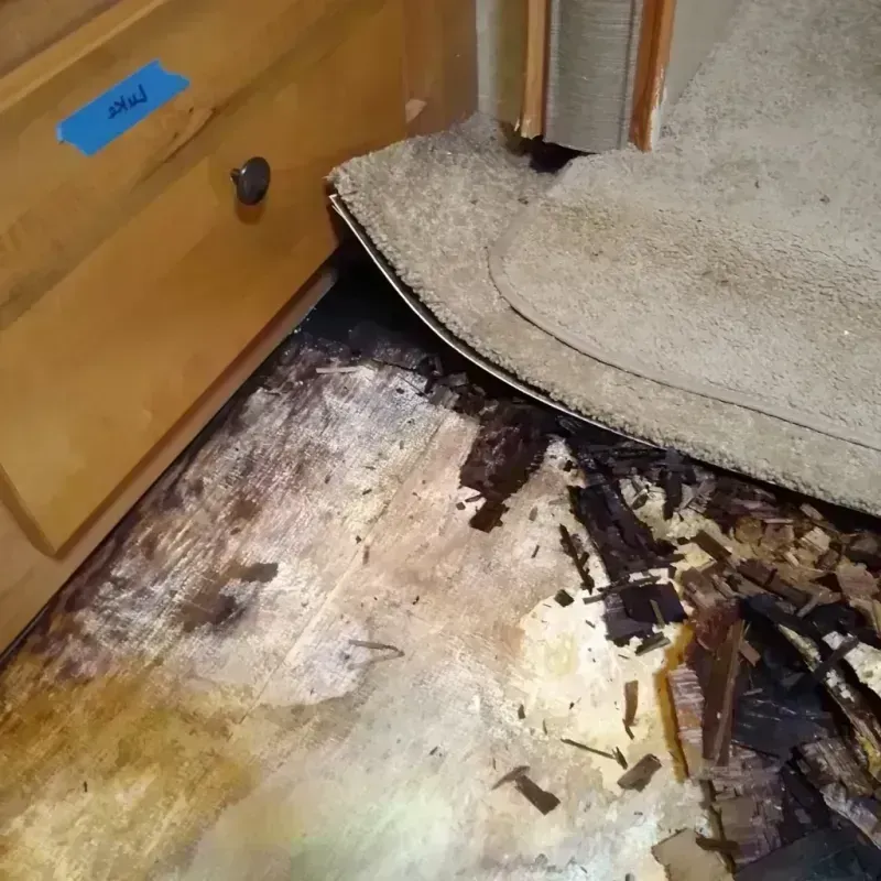 Best Wood Floor Water Damage Service in Florida, PR